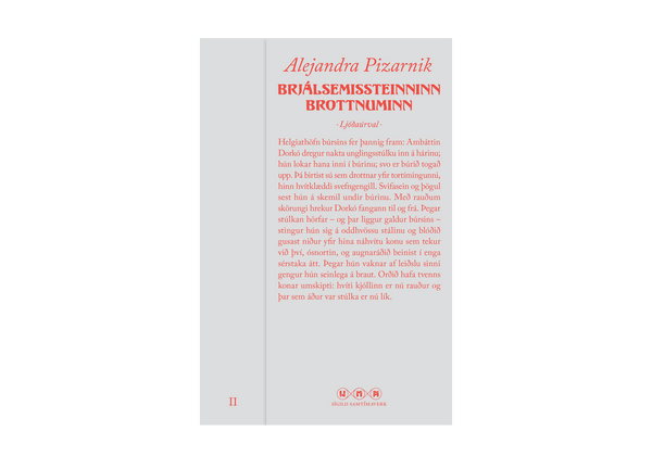 Brjálsemissteinninn brottnuminn - Alejandra Pizarnik