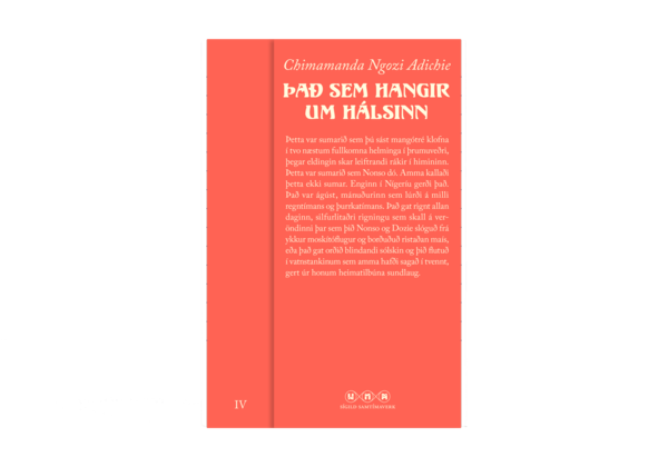 Það sem hangir um hálsinn - Chimamanda Ngozi Adichie